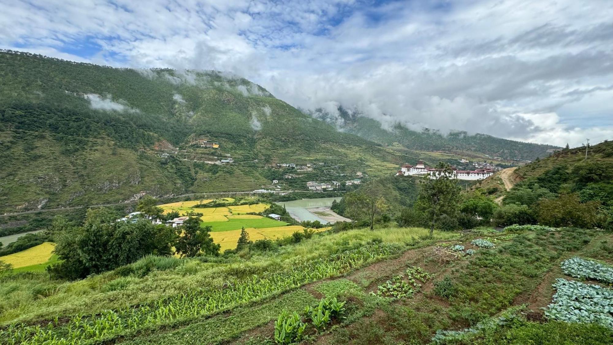 Wangdue Ecolodge Wangdue Phodrang Ngoại thất bức ảnh