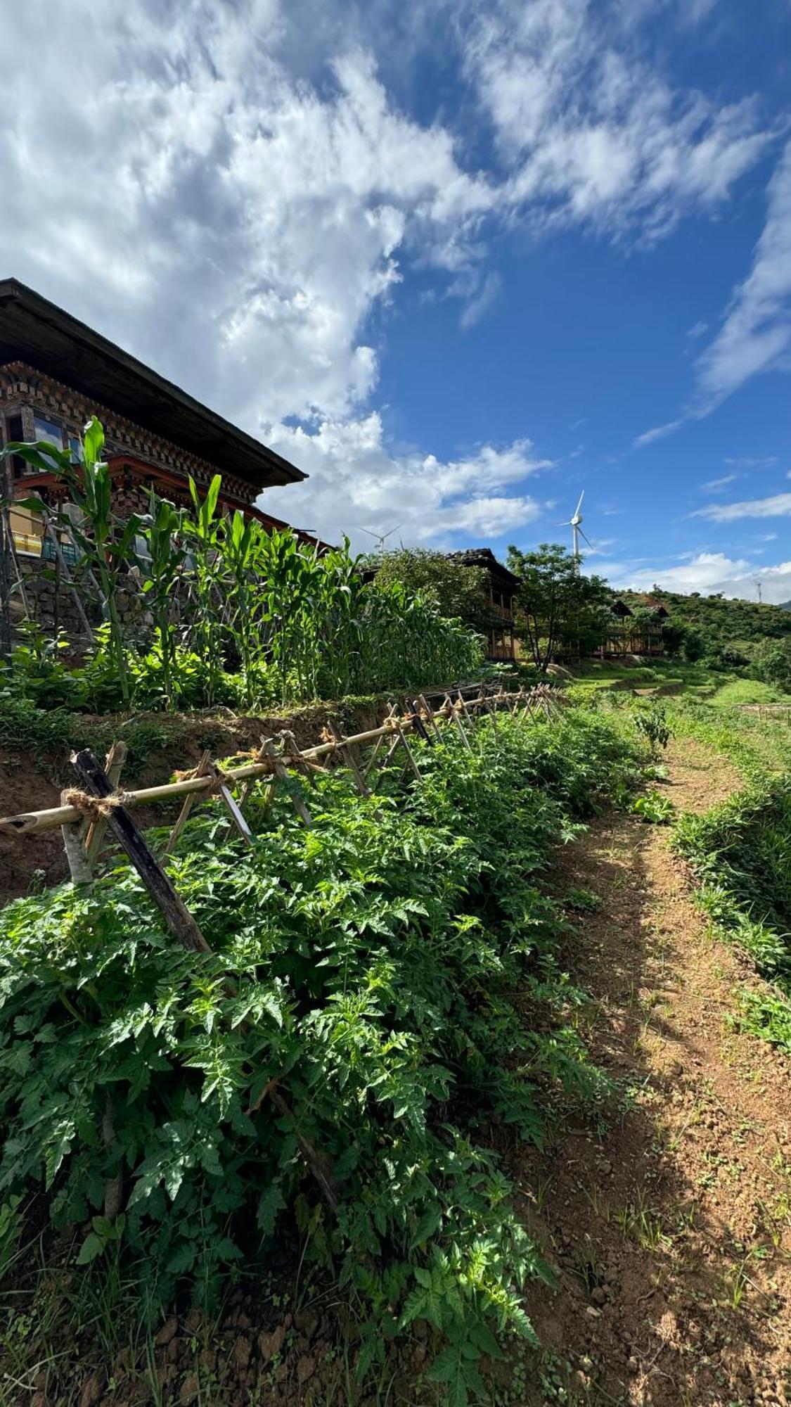 Wangdue Ecolodge Wangdue Phodrang Ngoại thất bức ảnh