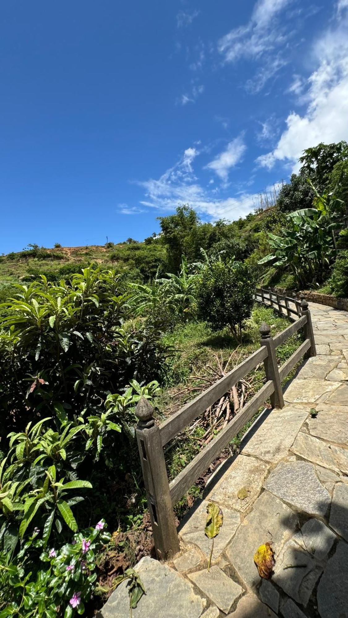 Wangdue Ecolodge Wangdue Phodrang Ngoại thất bức ảnh